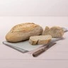 [29063] BÂTARD CAMPAGNE